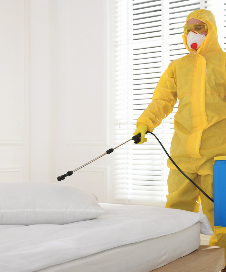 Professional Pest Control Team in Gawler Belt